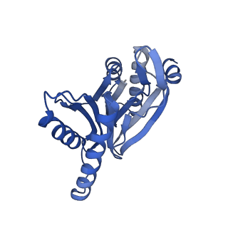 18760_8qyo_Y_v1-1
Human proteasome 20S core particle