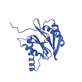 18760_8qyo_Z_v1-1
Human proteasome 20S core particle