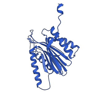 18760_8qyo_a_v1-1
Human proteasome 20S core particle