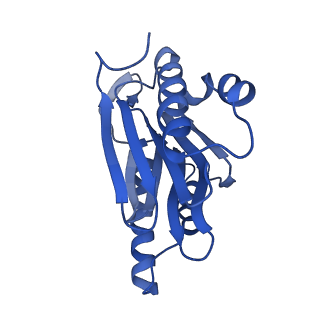 18760_8qyo_b_v1-1
Human proteasome 20S core particle