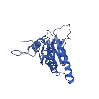 18761_8qys_C_v1-1
Human preholo proteasome 20S core particle