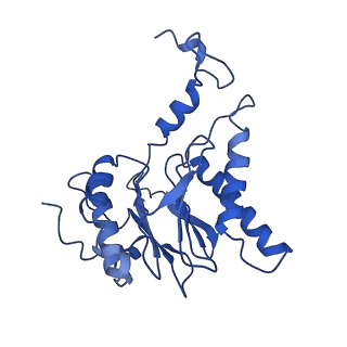 18761_8qys_E_v1-1
Human preholo proteasome 20S core particle