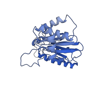 18761_8qys_G_v1-1
Human preholo proteasome 20S core particle