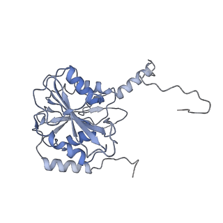 18761_8qys_I_v1-1
Human preholo proteasome 20S core particle