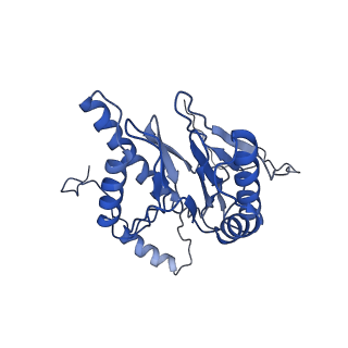 18761_8qys_K_v1-1
Human preholo proteasome 20S core particle