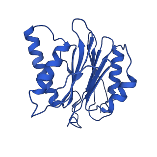 18761_8qys_L_v1-1
Human preholo proteasome 20S core particle