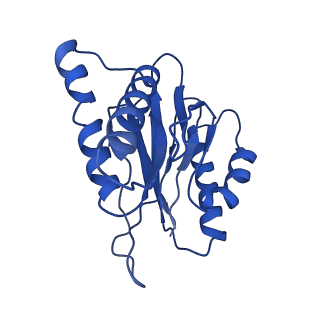 18761_8qys_M_v1-1
Human preholo proteasome 20S core particle