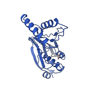 18761_8qys_N_v1-1
Human preholo proteasome 20S core particle