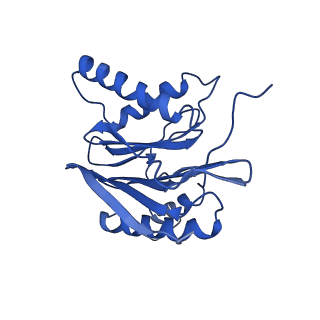 18761_8qys_O_v1-1
Human preholo proteasome 20S core particle