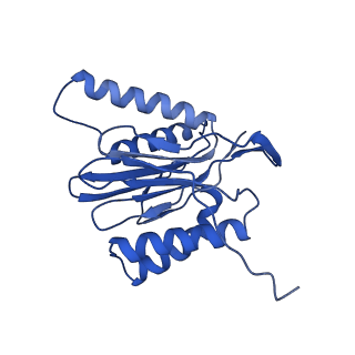 18761_8qys_P_v1-1
Human preholo proteasome 20S core particle