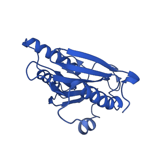 18761_8qys_Q_v1-1
Human preholo proteasome 20S core particle