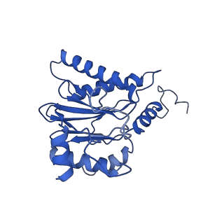 18761_8qys_R_v1-1
Human preholo proteasome 20S core particle