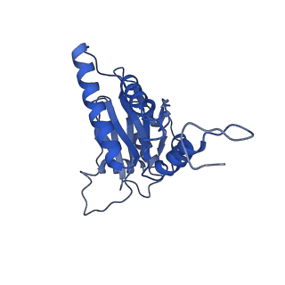 18761_8qys_T_v1-1
Human preholo proteasome 20S core particle