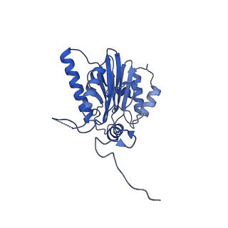 18761_8qys_U_v1-1
Human preholo proteasome 20S core particle