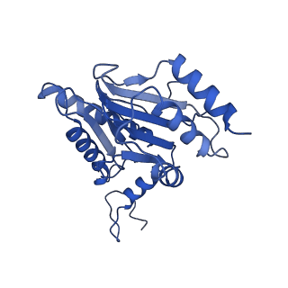 18761_8qys_W_v1-1
Human preholo proteasome 20S core particle