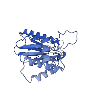 18761_8qys_X_v1-1
Human preholo proteasome 20S core particle