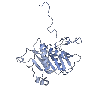 18761_8qys_a_v1-1
Human preholo proteasome 20S core particle