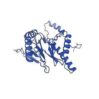 18761_8qys_b_v1-1
Human preholo proteasome 20S core particle