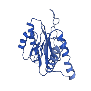 18761_8qys_d_v1-1
Human preholo proteasome 20S core particle