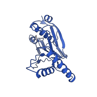 18761_8qys_e_v1-1
Human preholo proteasome 20S core particle