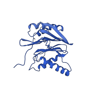 18761_8qys_f_v1-1
Human preholo proteasome 20S core particle