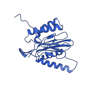 18761_8qys_g_v1-1
Human preholo proteasome 20S core particle