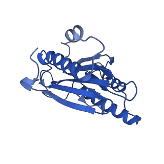 18761_8qys_h_v1-1
Human preholo proteasome 20S core particle