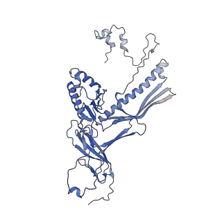4677_6qyd_1A_v1-0
Cryo-EM structure of the head in mature bacteriophage phi29