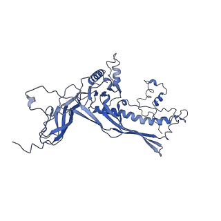 4677_6qyd_1B_v1-0
Cryo-EM structure of the head in mature bacteriophage phi29