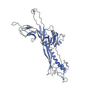 4677_6qyd_1C_v1-0
Cryo-EM structure of the head in mature bacteriophage phi29