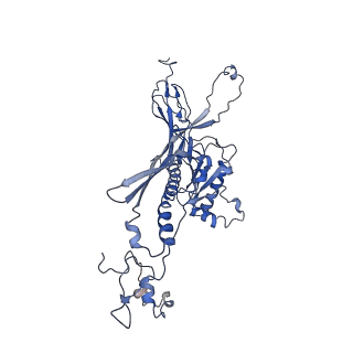 4677_6qyd_1D_v1-0
Cryo-EM structure of the head in mature bacteriophage phi29
