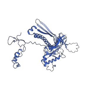 4677_6qyd_1E_v1-0
Cryo-EM structure of the head in mature bacteriophage phi29