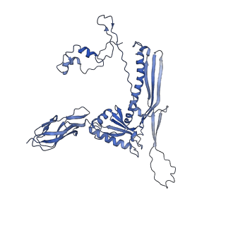 4677_6qyd_1F_v1-0
Cryo-EM structure of the head in mature bacteriophage phi29