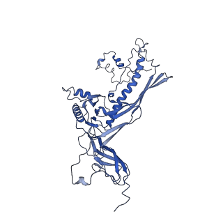 4677_6qyd_1H_v1-0
Cryo-EM structure of the head in mature bacteriophage phi29