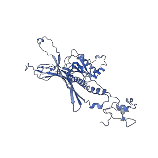 4677_6qyd_1J_v1-0
Cryo-EM structure of the head in mature bacteriophage phi29