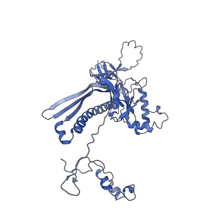4677_6qyd_1K_v1-0
Cryo-EM structure of the head in mature bacteriophage phi29