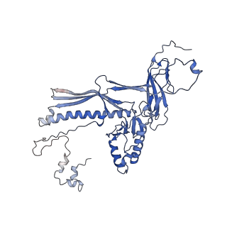 4677_6qyd_1M_v1-0
Cryo-EM structure of the head in mature bacteriophage phi29