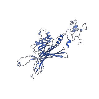 4677_6qyd_1P_v1-0
Cryo-EM structure of the head in mature bacteriophage phi29