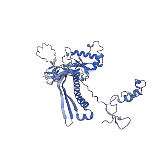 4677_6qyd_1Q_v1-0
Cryo-EM structure of the head in mature bacteriophage phi29