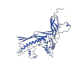 4677_6qyd_1T_v1-0
Cryo-EM structure of the head in mature bacteriophage phi29