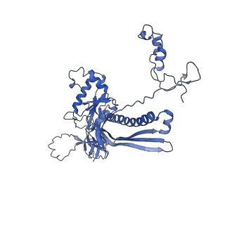 4677_6qyd_1W_v1-0
Cryo-EM structure of the head in mature bacteriophage phi29