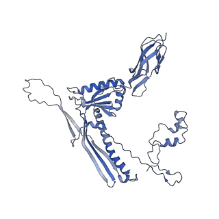 4677_6qyd_1X_v1-0
Cryo-EM structure of the head in mature bacteriophage phi29