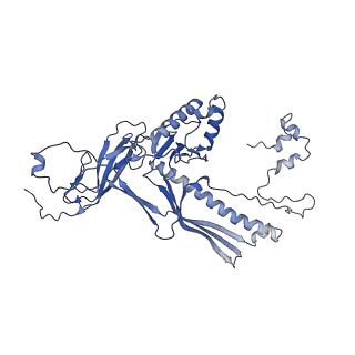 4677_6qyd_1Y_v1-0
Cryo-EM structure of the head in mature bacteriophage phi29