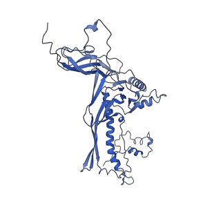 4677_6qyd_1Z_v1-0
Cryo-EM structure of the head in mature bacteriophage phi29