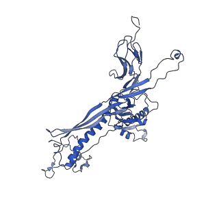 4677_6qyd_1a_v1-0
Cryo-EM structure of the head in mature bacteriophage phi29