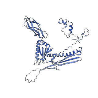 4677_6qyd_1d_v1-0
Cryo-EM structure of the head in mature bacteriophage phi29