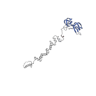 4677_6qyd_1e_v1-0
Cryo-EM structure of the head in mature bacteriophage phi29