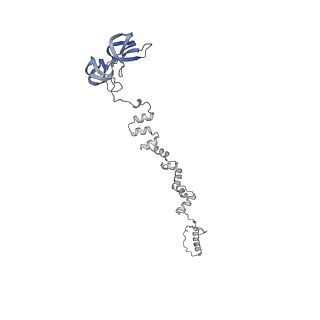 4677_6qyd_1i_v1-0
Cryo-EM structure of the head in mature bacteriophage phi29