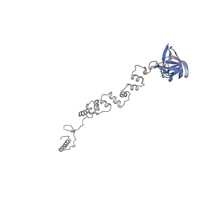 4677_6qyd_1l_v1-0
Cryo-EM structure of the head in mature bacteriophage phi29