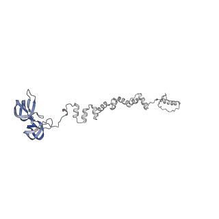 4677_6qyd_1m_v1-0
Cryo-EM structure of the head in mature bacteriophage phi29